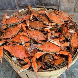 crab pic